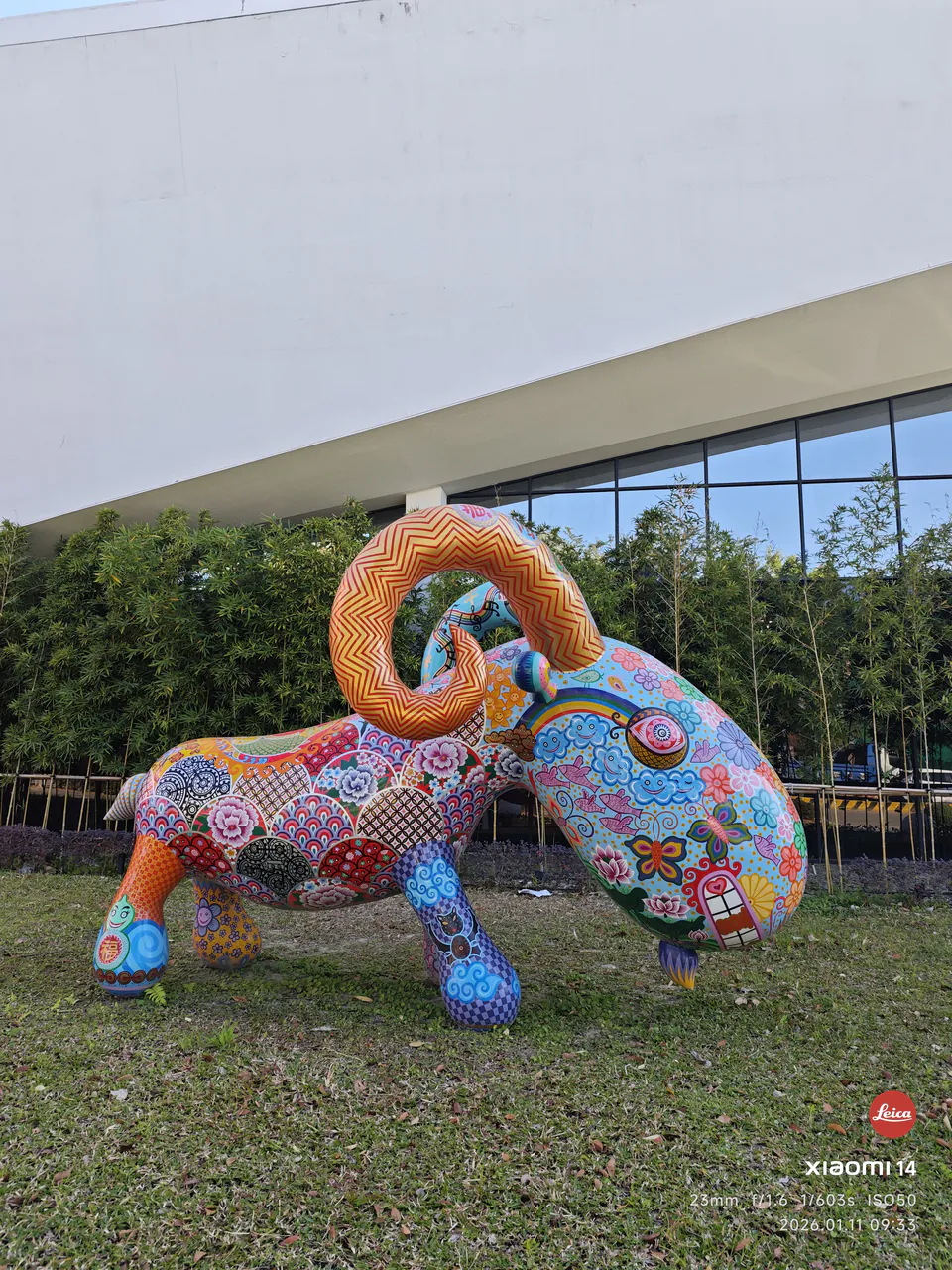 20260111 Rainbow Sheep Taichung